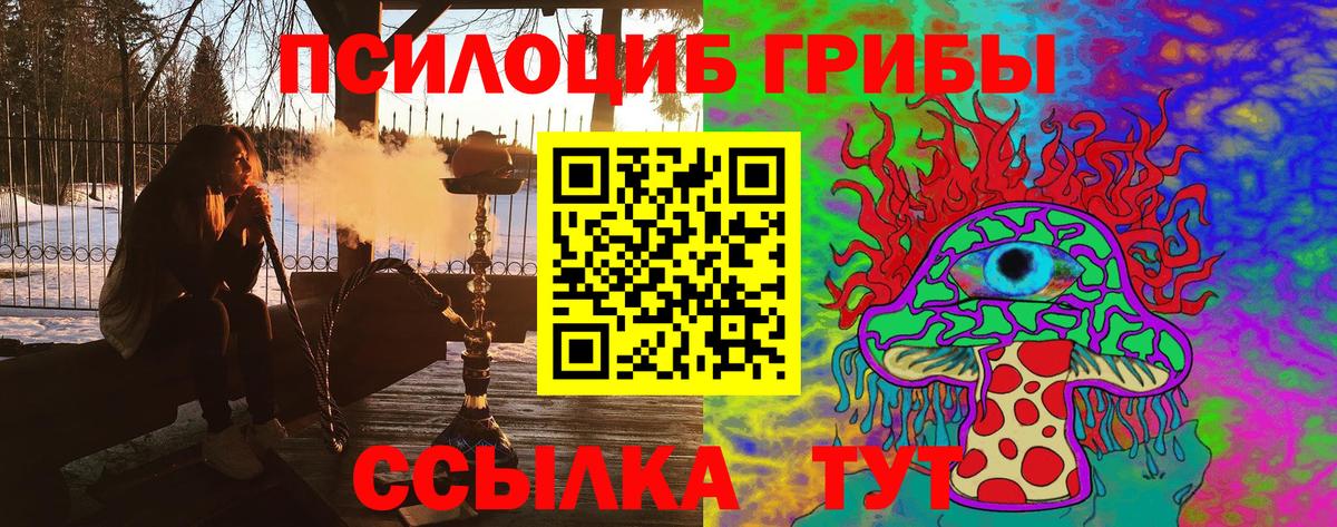 Галлюциногенные грибы Cubensis  Псилоцибиновые грибы Psilocybe  Вход с VPN  Королёв 