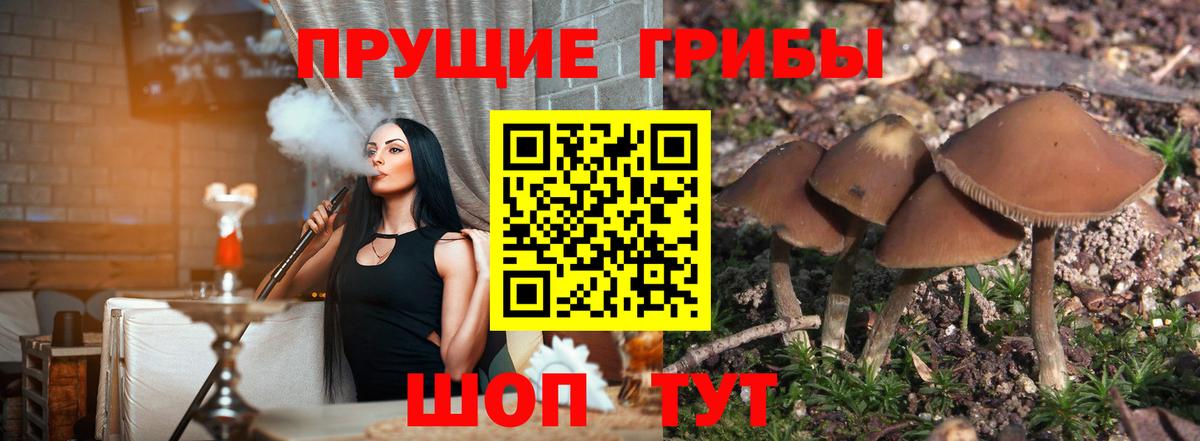 Галлюциногенные грибы прущие грибы Королёв
