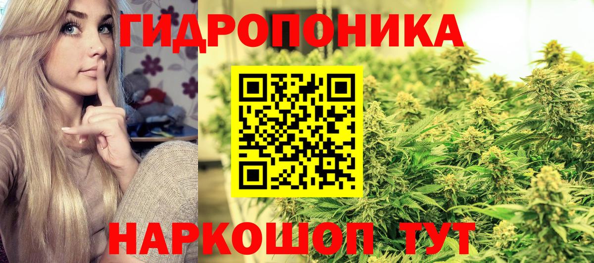Бошки Шишки Bruce Banner  Бошки марихуана тримм  Вход с VPN  Королёв  Бошки Шишки OG Kush  Бошки марихуана семена 